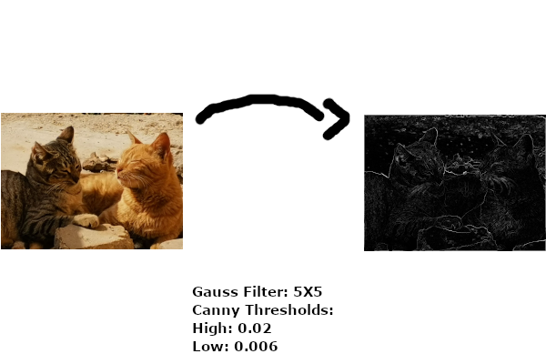 An image showcasing two images of two cats, one is normal, 
                                and the other is in white and white after applying the canny edge deteciton
